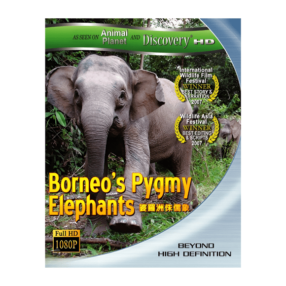 BORNEO´S PYGMY ELEPHANTS Animal Planet