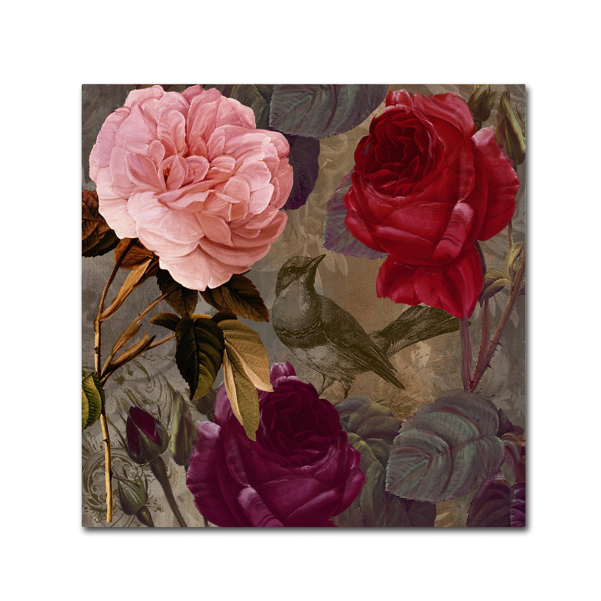 Trademark Fine Art "Birds and Roses" Canvas Art by Color Bakery