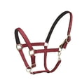thumbnail image 2 of CENTAUR Solid Cushion Padded Breakaway Halter, 2 of 3