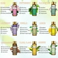 thumbnail image 5 of PHATOIL Pure Essential Oils Set for Candle Making, Diffusers, Fragrance, Aromatherapy Scents, 9X10Ml, 5 of 9