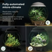 biOrb AIR 30 Terrarium - Grey, Acrylic