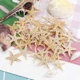 thumbnail image 2 of 100Pcs Natural Starfish Seashell Beach Craft Natural Sea Stars DIY Beach Wedding Decoration Crafts Home Decor 1-5cm, 2 of 10