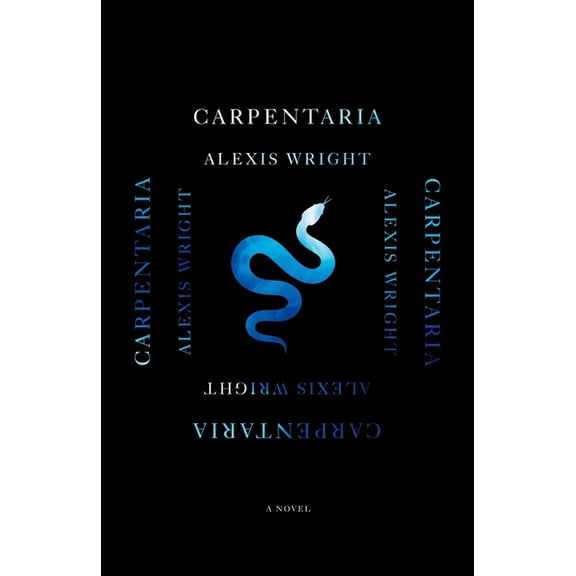 Carpentaria, (Paperback)