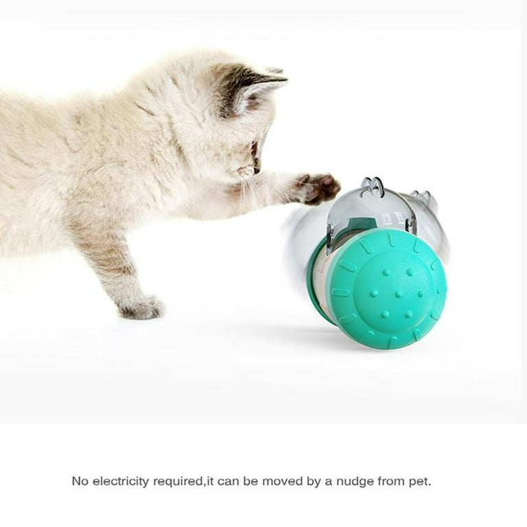 Pet Supplies : SWENTER Automatic Pet Slow Feeder Treat Ball, Cat