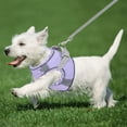 thumbnail image 4 of Binwennn 1 PCS Dog Harness For Small Medium Large Dogs No Pull Puppy Harness And Leash Set Dog Harness For Walking Running Training Small Dog Harness Medium Dog Harness Cat Steps Cat Steps for Older, 4 of 7