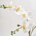 thumbnail image 4 of Artificial Orchid with Succulents, 4 of 5
