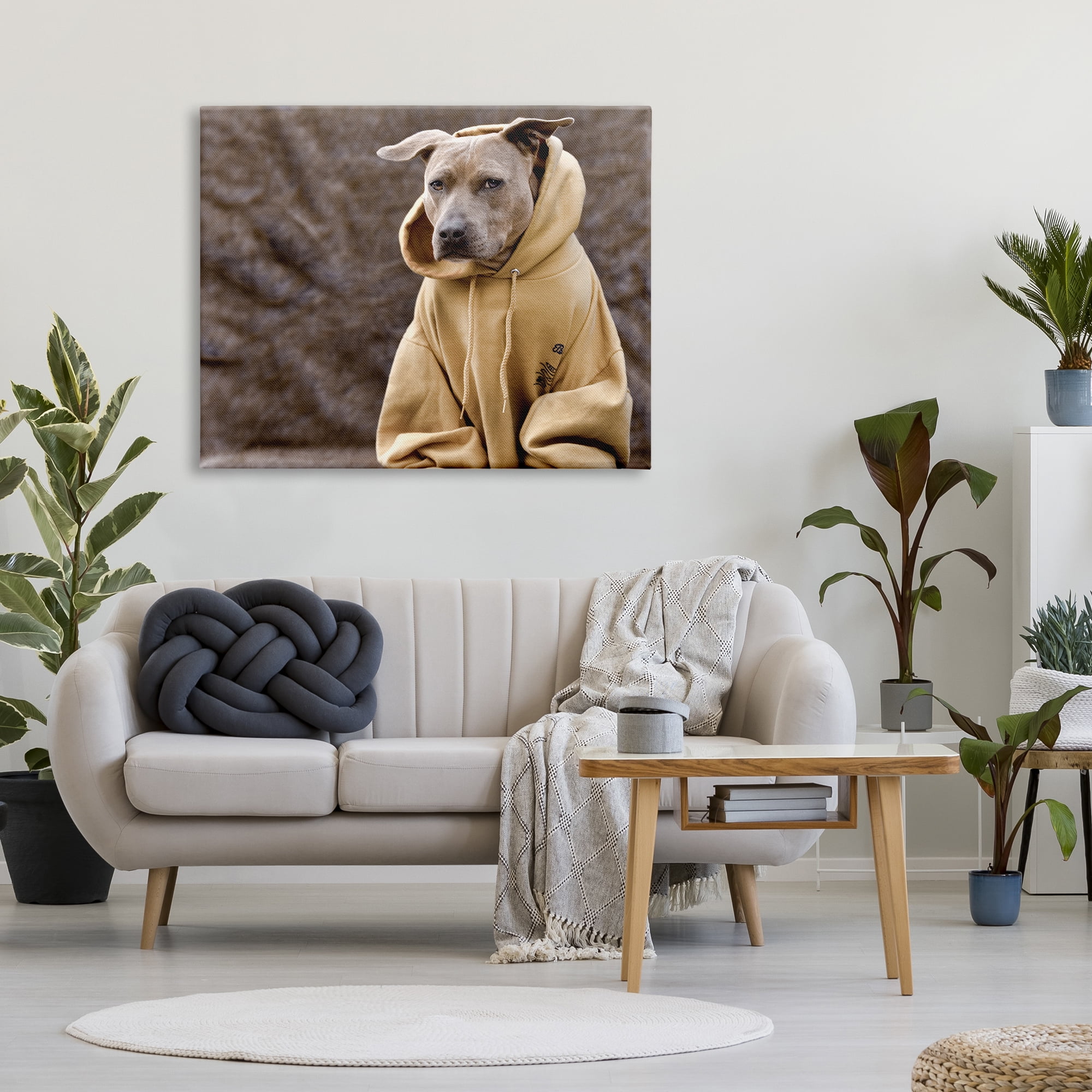 Stupell Industries Beautiful Dog Wearing Cozy Yellow Hoodie Photography Photograph Gallery Wrapped Canvas Print Wall Art, Design by Michael Brian