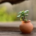 thumbnail image 4 of 2PCS Mini Flower Pots Clay Plant Pot for Planter Wedding Decoration Craft, 4 of 11