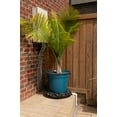 thumbnail image 6 of 22 x 22 inch Black Plastic Drain Away Garden Plant Drain Tray, 6 of 10