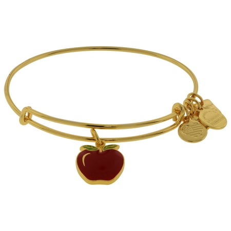 Alex and Ani Charity By Design Apple EWB Bangle Bracelet - CBD17APSG