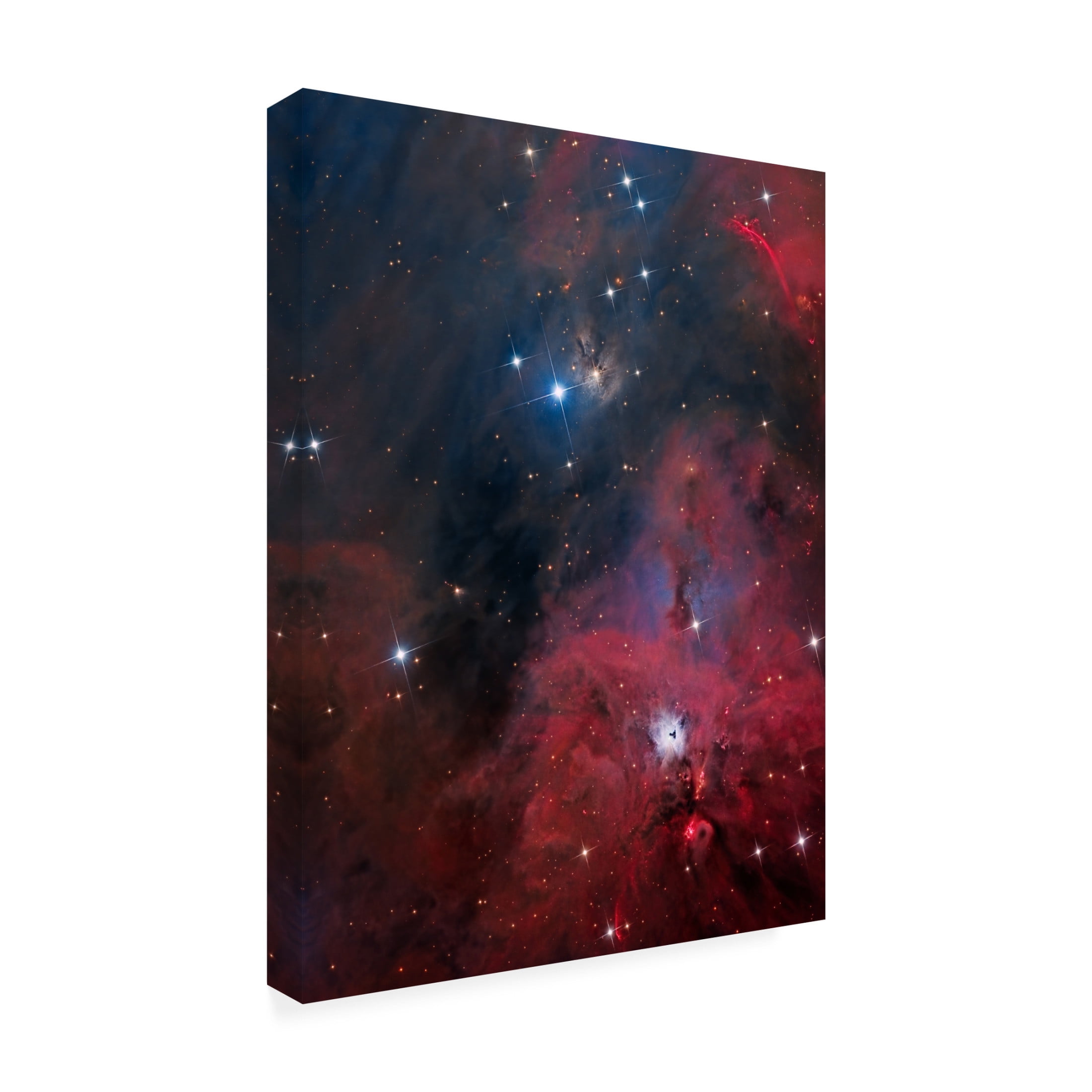 Trademark Fine Art Vikas Chander Ngc 1999 Canvas Wall Art