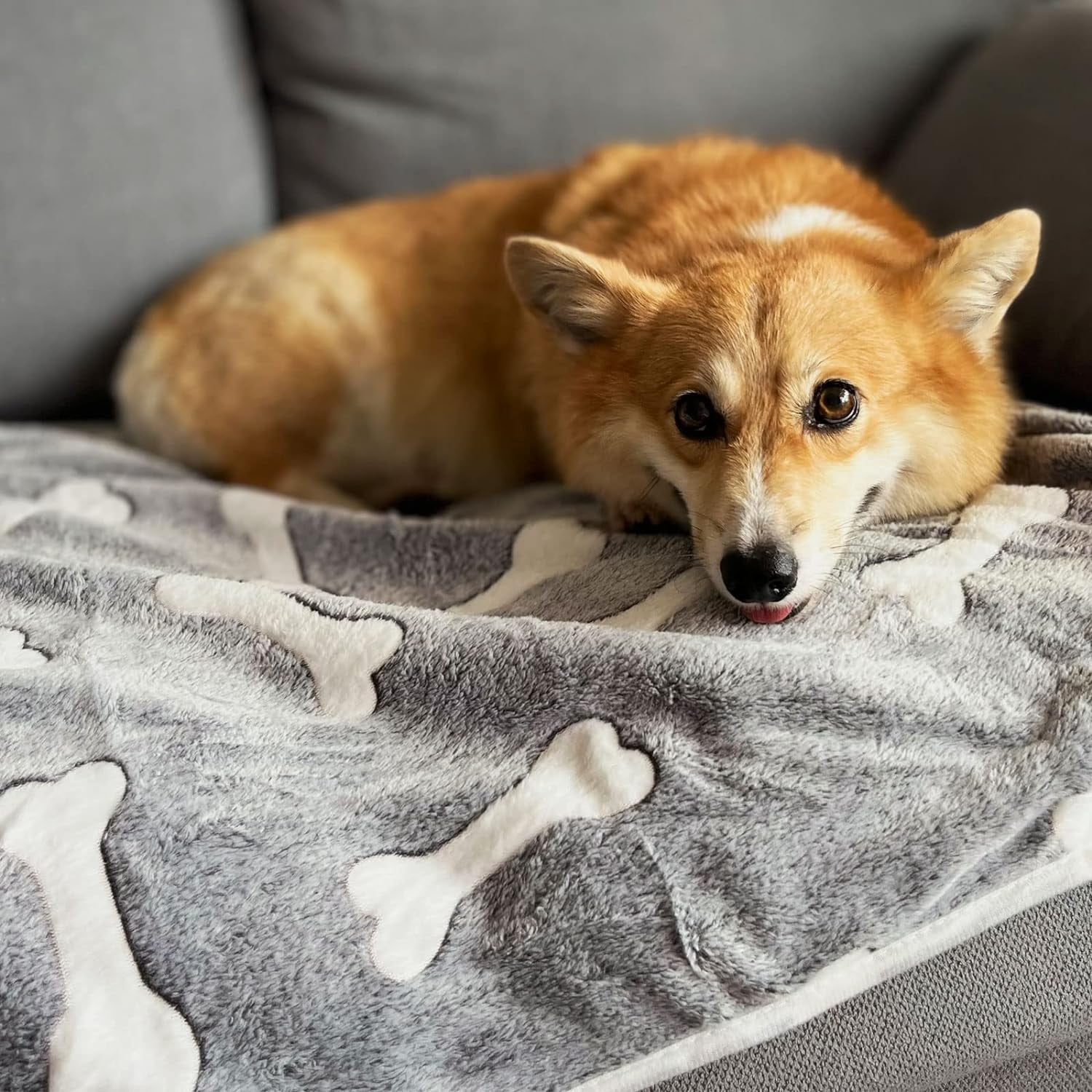 XINQIHANG 1 Pack 3 Puppy Blankets Super Soft Warm Sleep Mat Grey Cute Print Blanket Fluffy Fleece Pet Blanket Flannel Throw Dog Blankets for Small