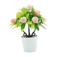 thumbnail image 3 of Plantas artificiales en maceta, pequeñas plantas falsas, decoración floral, planta en maceta falsa, frutal artificial para estante, baño, casa Durazno, 3 of 8