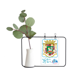 thumbnail image 1 of Jarrones colgantes de vidrio transparente Unbranded Puerto Rico National Emblem Decoración Botella, 1 of 4