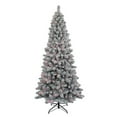 thumbnail image 1 of Kurt S. Adler TR70702FPLM 7 ft. Pre-Lit Multi Color New Brunswick Tree, 1 of 2