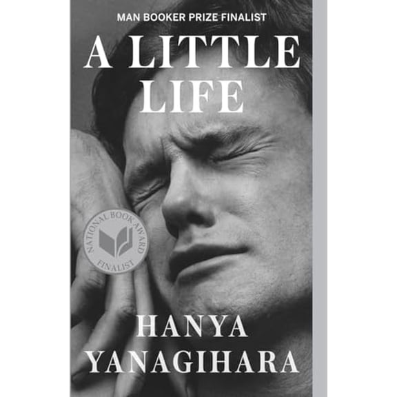 Pre-Owned A Little Life (Paperback) 0804172706 9780804172707