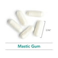 thumbnail image 5 of NutriCology Mastic Gum - Supports Digestive Comfort - Delivers 1000 mg Chios Mastic Gum Resin per Serving - Vegetarian & Hypoallergenic - 30 Servings - 60 Capsules, 5 of 6