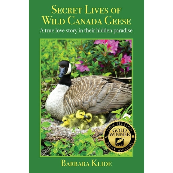 Secret Lives of Wild Canada Geese: A true love story in their hidden paradise, (Paperback)