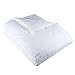 thumbnail image 3 of Lavish Home Ultra-Soft Down Alternative Bedding Comforter, Twin, 3 of 4