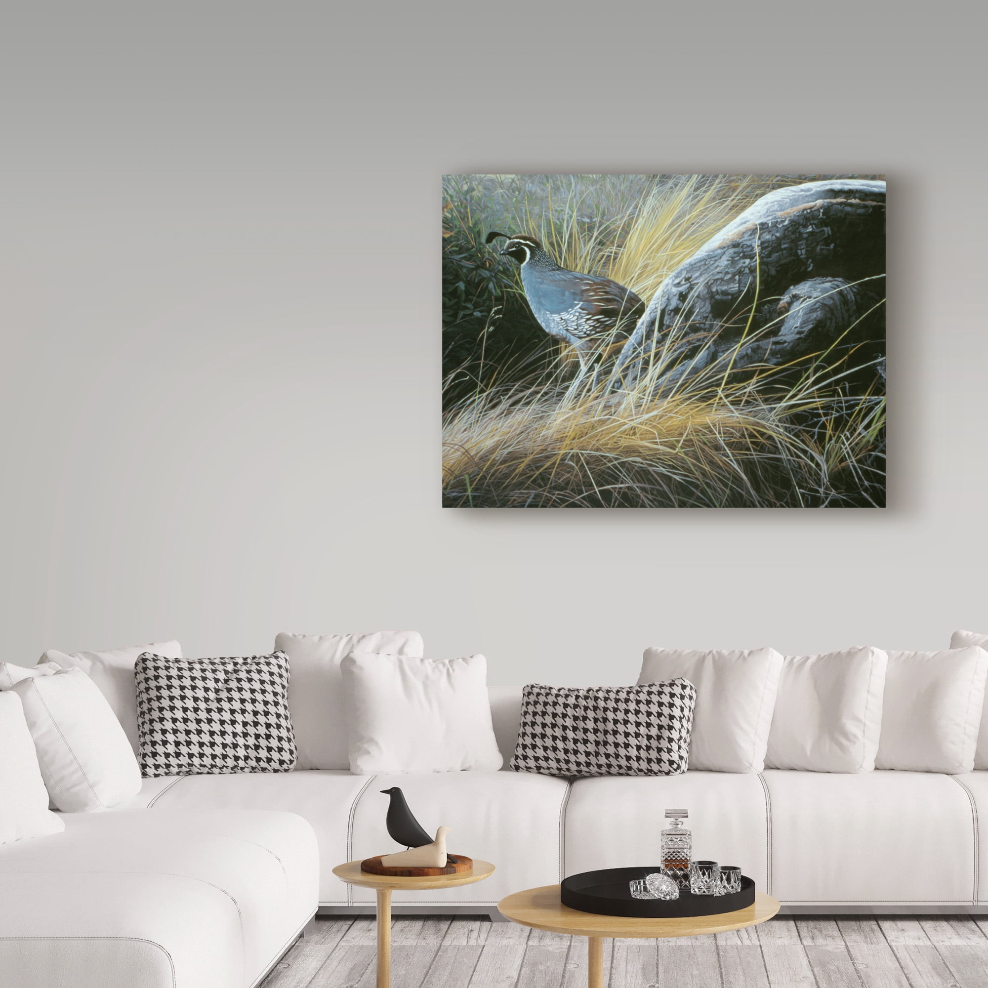 Trademark Fine Art 'California Quail' Canvas Art by Ron Parker