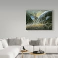 thumbnail image 3 of Trademark Fine Art 'California Quail' Canvas Art by Ron Parker, 3 of 3