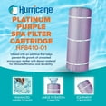 thumbnail image 2 of Hurricane HF8410-01P Platinum Purple Pool and Spa Filter Cartridge Replacement, 2 of 7