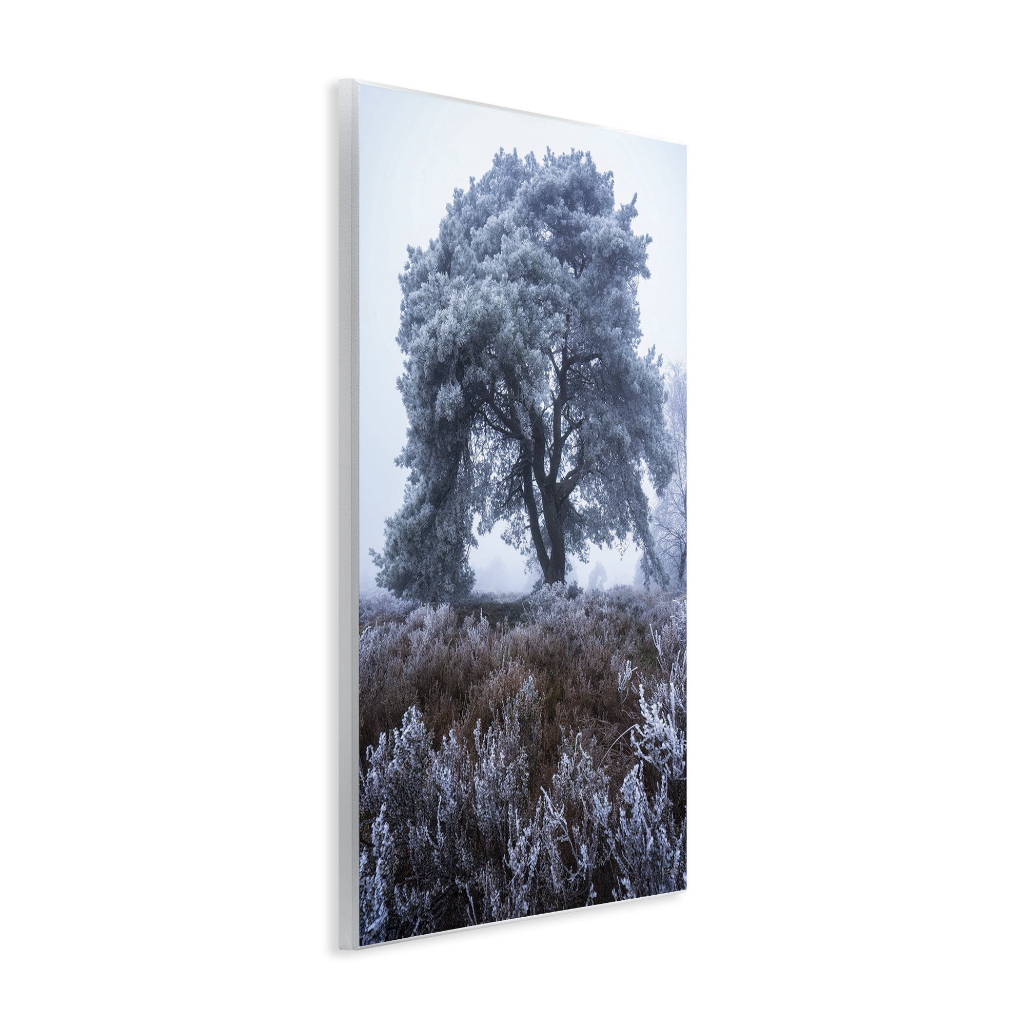 Stupell Industries Frosted Tree in Winter Mist Wall Plaque Art, design by Martin Podt