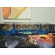 thumbnail image 3 of History of Teenage Mutant Ninja Turtles Featuring Leonardo, 3 of 4