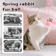 thumbnail image 5 of Hanging Fluffy Cat Catnip Ball Toys,2025 New Interactive Cat Toy for Indoor,Kitten Play Chase Exercise Toys,Long Tail Stretchable Soft Plush Teaser Ball with Bell (Mix Color), 5 of 7