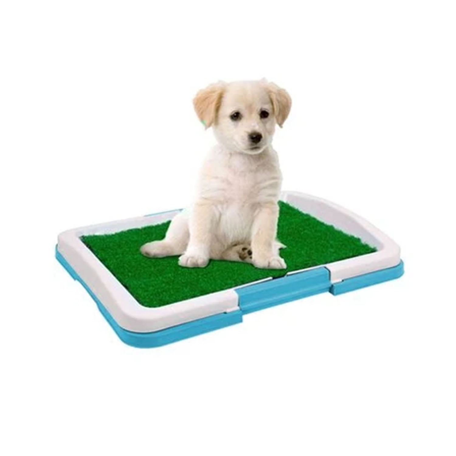 Baño Alfombra Ecológica Sanitario Para Mascota Celeste C160815-5-Celeste
