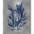 thumbnail image 2 of Miller, Melonie 26x30 Gold Ornate Wood Framed with Double Matting Museum Art Print Titled - Sea Life - Blue on Silver IV, 2 of 4