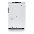 Arctic King 35 Pint Energy Star Dehumidifier for Very Damp Rooms