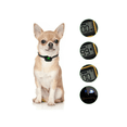 thumbnail image 3 of Collar De Adiestramiento De Perros Eléctrico Teledirigido Belug Negro Amarillo, 3 of 5