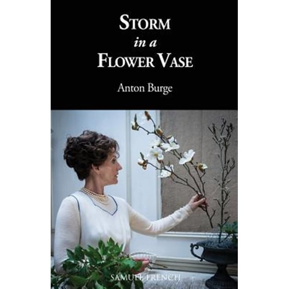Pre-Owned Storm in a Flower Vase, (Paperback)