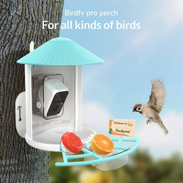 The Best Camera Bird Feeder for Backyard Birdwatching, NETVUE Birdfy  Review