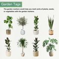 thumbnail image 4 of 100Pcs 4 Inch Plant Labels Large T-Style Garden Marker Plant Tags Garden Labels Garden Markers for Flower Beds,Plant Pots Pink, 4 of 6