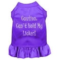 thumbnail image 1 of Can't Hold My Licker Screen Print Dress Purple 4X (22), 1 of 1
