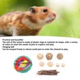 thumbnail image 4 of Small Pet Tube, Small Pet Tunnels Hanging Ball 3 Way Interactive Stimulate Exploration Interest Anxiety Reduction  For Balcony For Living Room For Hamster, 4 of 8