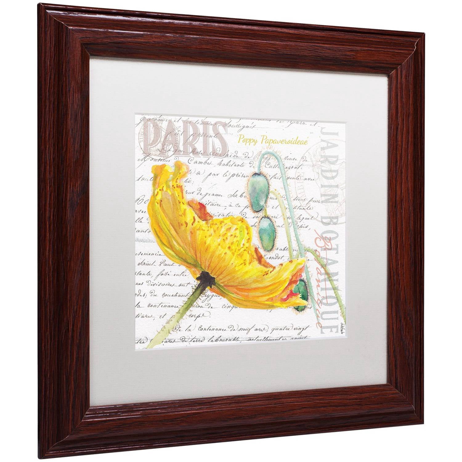 Trademark Fine Art "Paris Botanique Yellow Poppy" Canvas Art by Jennifer Redstreake White Matte, Wood Frame