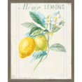thumbnail image 3 of Great Art Now Floursack Lemon v2 by Danhui Nai, 2 Piece Framed Art Set Each 17"W x 21"H, 3 of 3