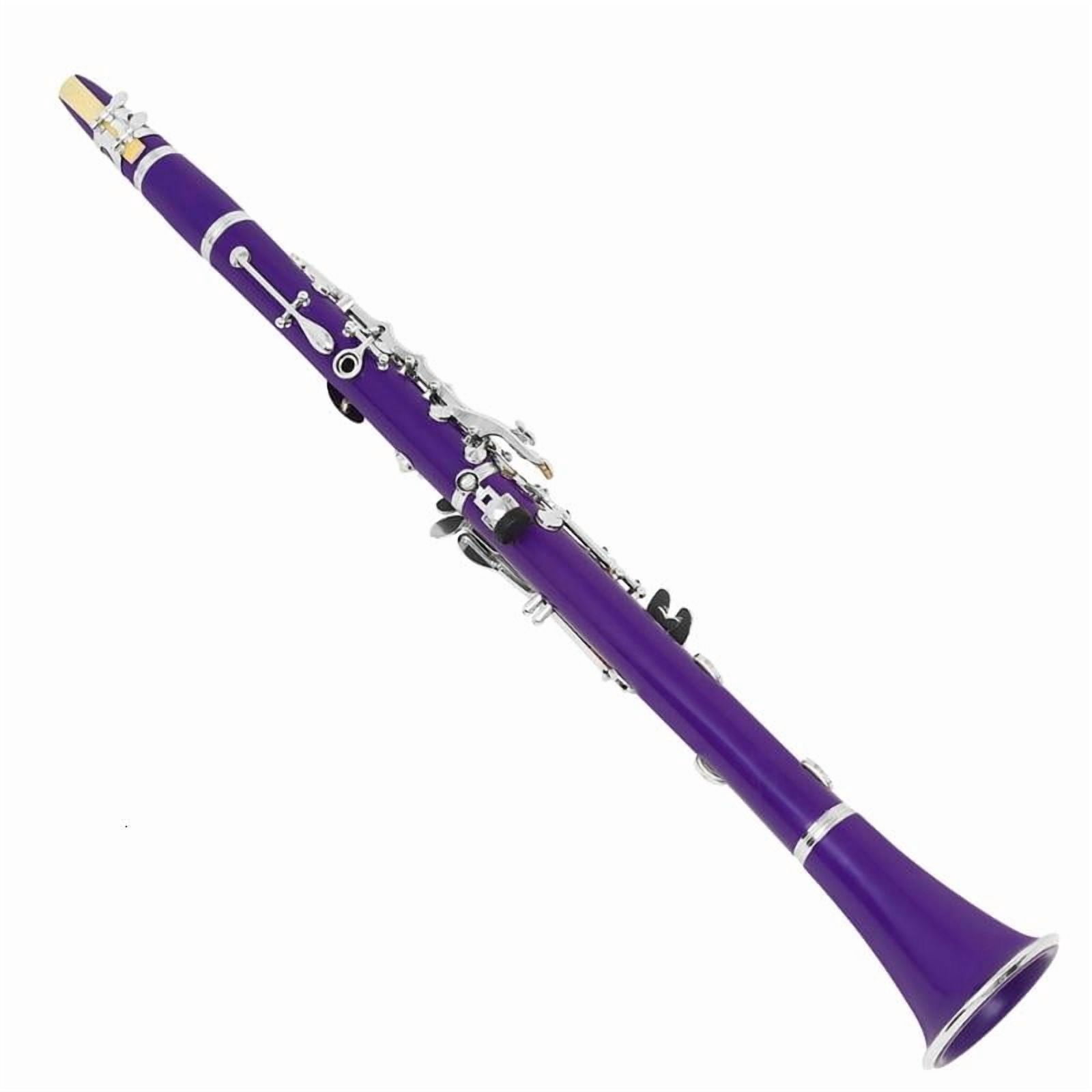 CEORPER 17 Keys Clarinet with Clarinet Carrying Case and Clarinet Maintaince Tool Set