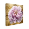 thumbnail image 4 of Stupell Industries Abstract Glam Peony Botanical & Floral Painting Gallery Wrapped Canvas Art Print Wall Art, 17 x 17, 4 of 8