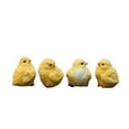 thumbnail image 4 of 4X Cute Resin Yellow Little Baby Chick Home Ornaments Decoration, 4 of 7