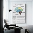 thumbnail image 2 of The Human Brain Poster, Brain And Behavior, Anatomy & Psychology, Mental Health, Therapy Office Decor, Brain Lobes Functions, CBT Art Print For Home School Office Decor, 2 of 7