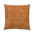 thumbnail image 1 of Ahgly Company Outdoor Square Contemporary Throw Pillow, 18 inch by 18 inch, 1 of 5