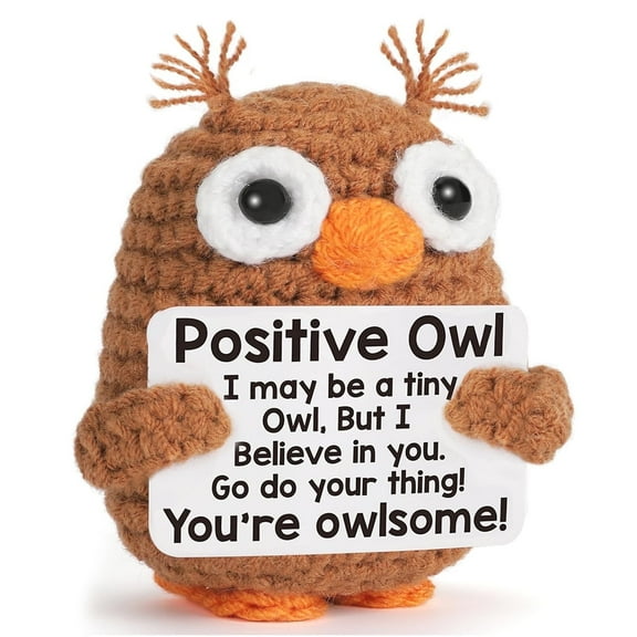 Emotional Support Owl Crochet Figure, Handmade Wise Desk Buddy with Encouraging Message Card, Motivational Stress Relief Plush, Inspirational Gift for Students Teachers Women Men