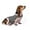 Dark Gray, variant on Dog Anxiety Relief Coat, Adjustable Shirts for Dogs Anxiety, Dog Anxiety Vest Jacket for Fireworks, Thunderstorm, Travel, Separation, Anxiety Calming Vest Wrap
