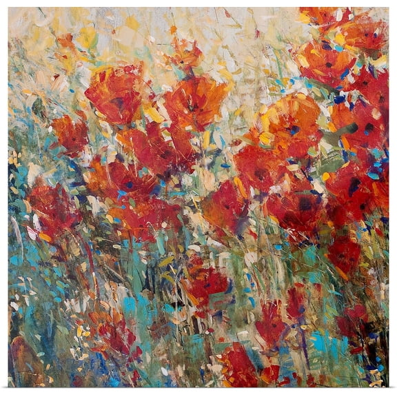 Great BIG Canvas | Rolled Tim O'Toole Poster Print entitled Red Poppy Field I