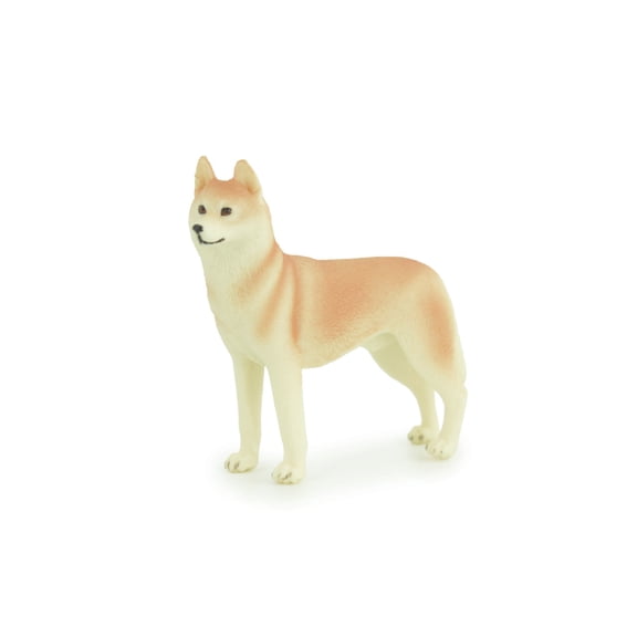 Siberian Husky Dog, Hand Painted, Educational, Museum Quality, Realistic, Rubber Canine, K9, Diorama, Figure, Toys, Kids, Gift, 4 Inches. CH906 BB203