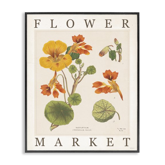 Stupell Industries Shabby Chic Vintage Flower Market Blossoms Black Framed Giclee Art, 11 x 14, by Sue Schlabach